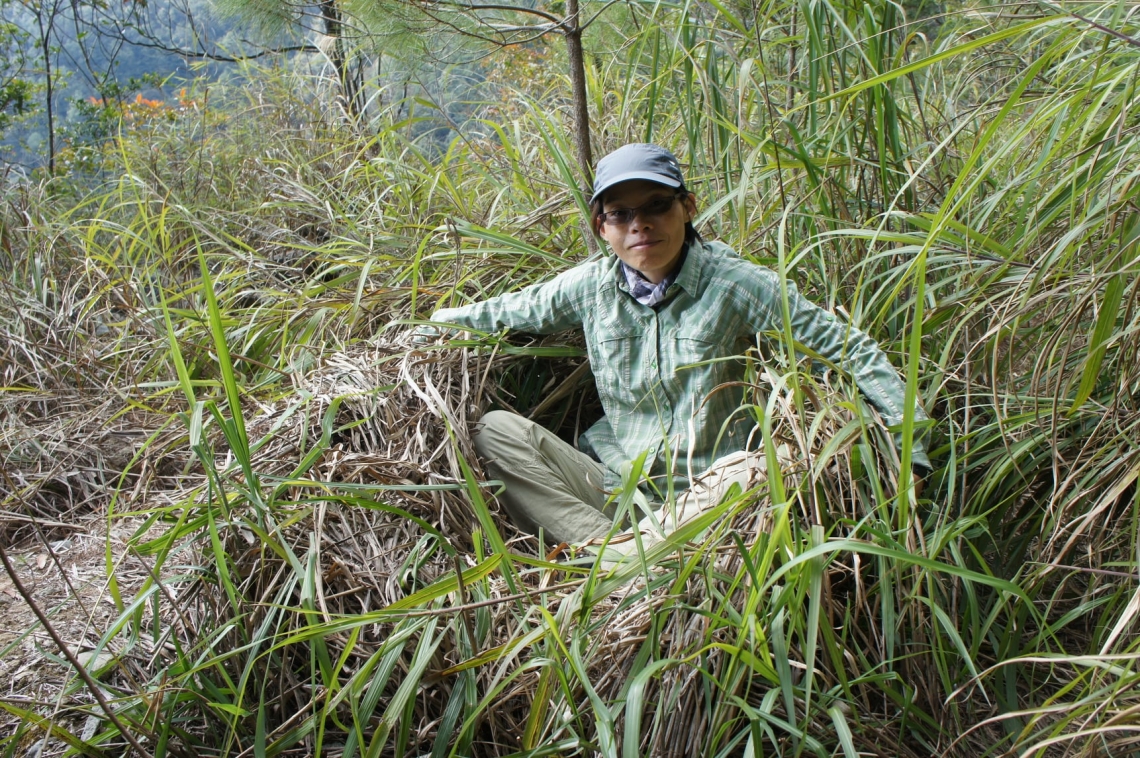 Asiatic black bear_U thibetanus_Taiwan_ground nest with researcher_M-H Hwang