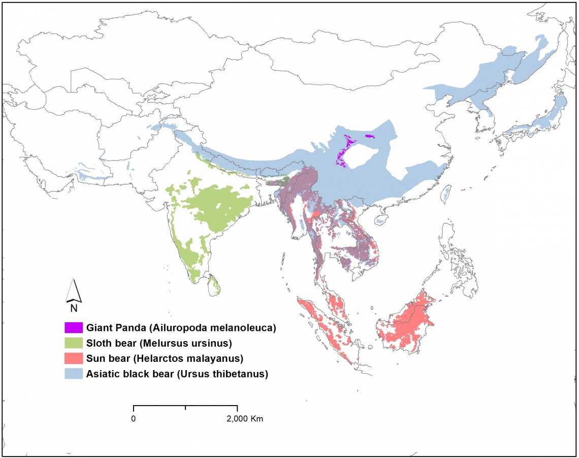 Current range map of the 4 species of bears endemic to Asia