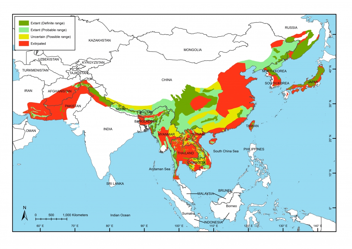 About BSG IUCN SSC Bear Specialist Group