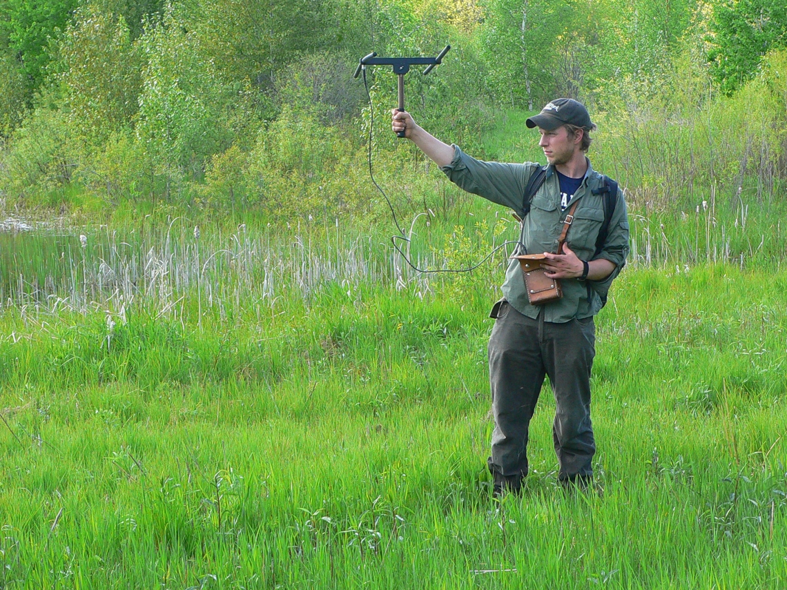 American black bear_U americanus_Minnesota_radiotracking to determine habitat use_D Garshelis