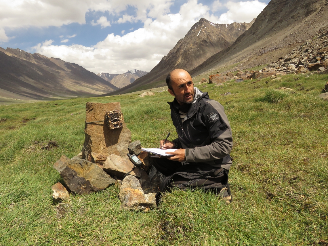 Brown bear_U arctos_Tajikistan, Central Asia_setting up camera trap_K Karimov