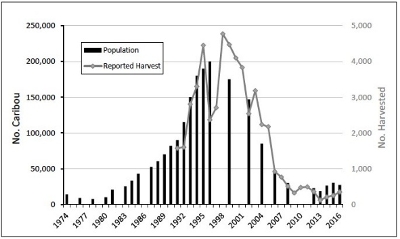 Mulchatna caribou herd size and reported hunter harvests (from Alaska Dept. Fish & Game)