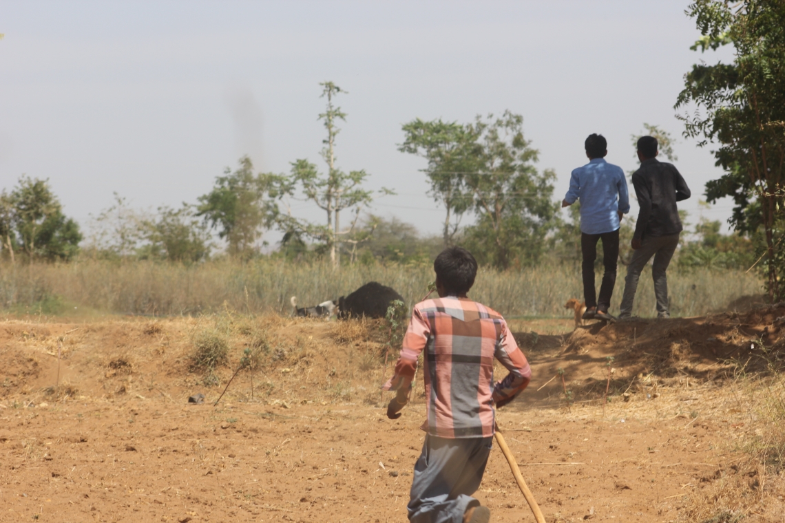 Sloth bear_M ursinus_Gujarat India_chasing bear out of village_N Dharaiya