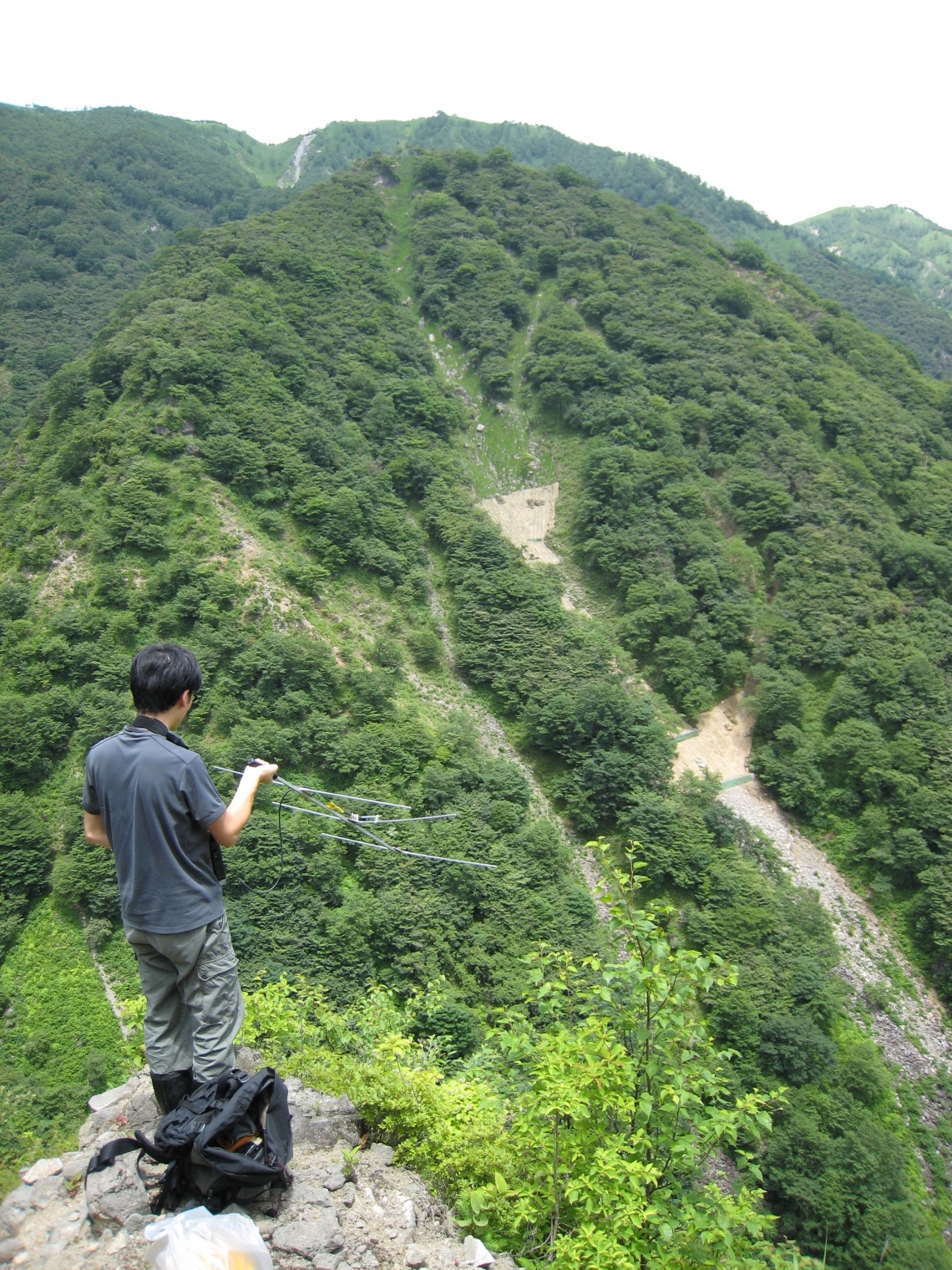 Asiatic black bear_U thibetanus_Japan_radiotracking_S Koike