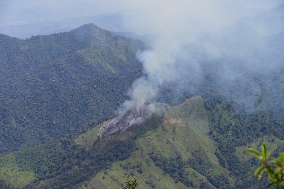 Andean bear_T ornatus_Ecuador_land clearing with fire_D Garshelis
