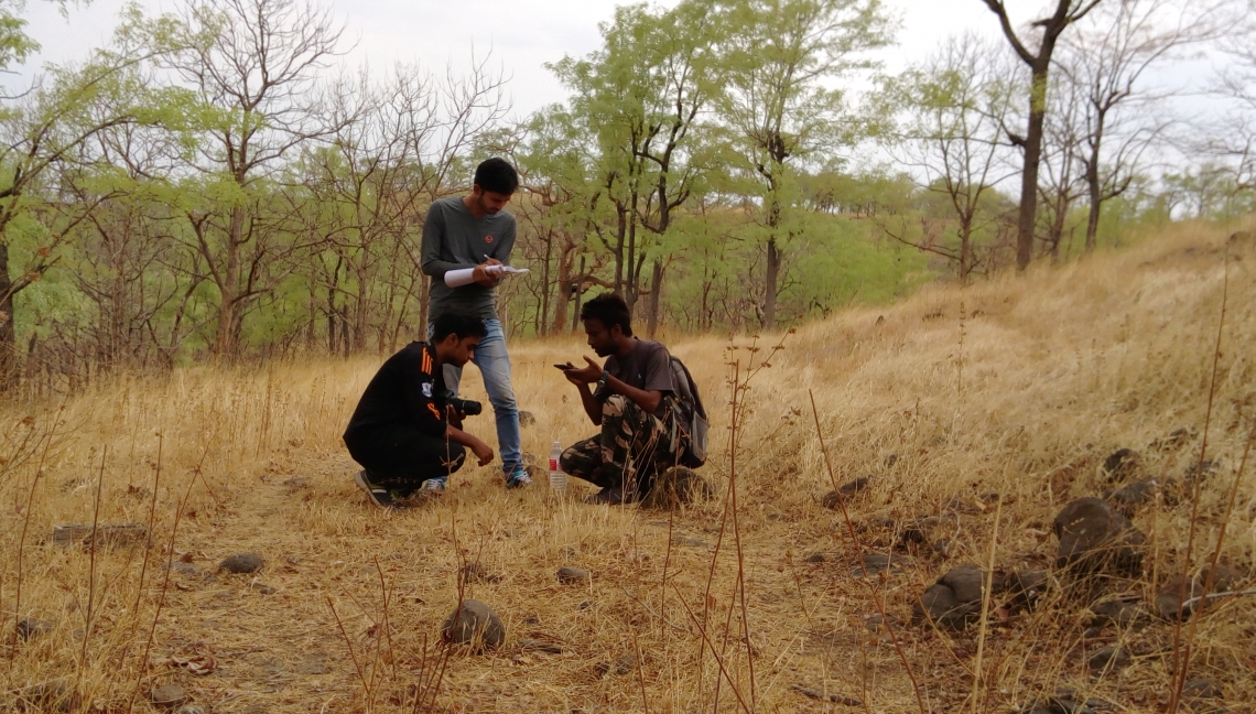 Sloth bear_M ursinus_Maharashtra India_scat collection_Nisha Singh