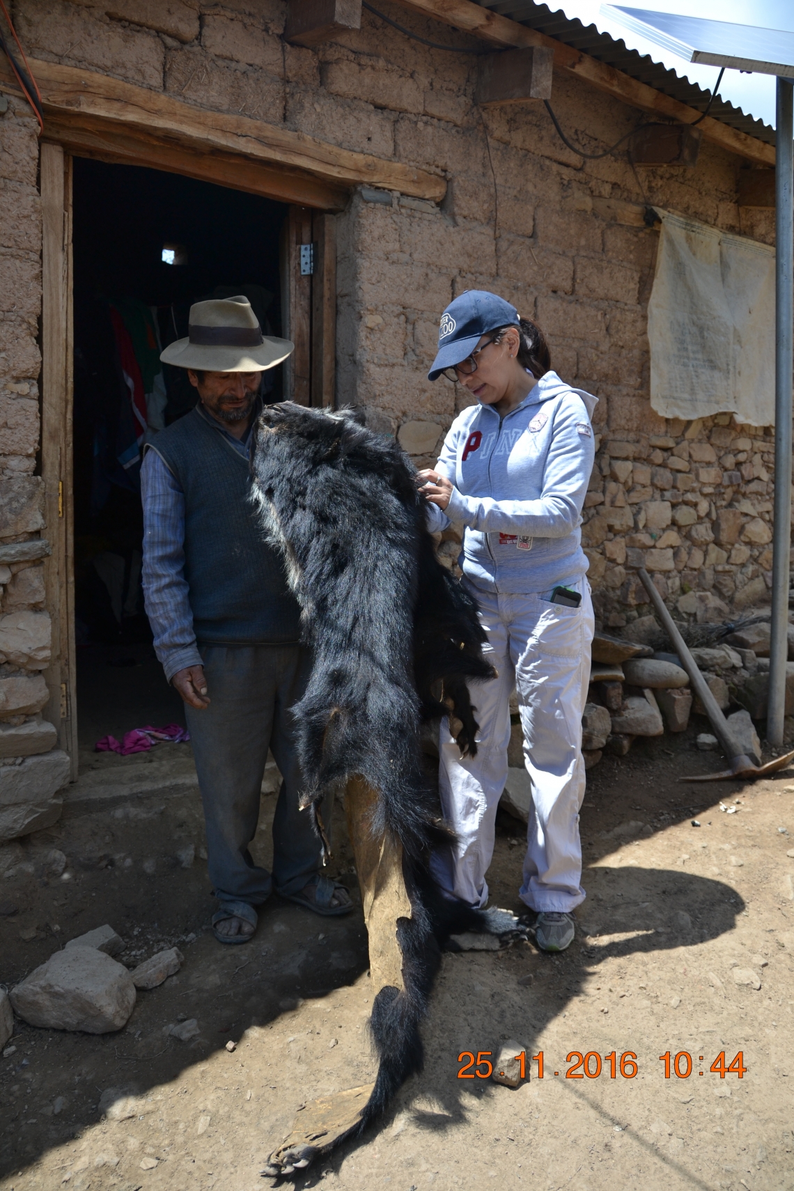 Andean bear_Tarija Bolivia_bear skin_Ximena Vélez-Liendo
