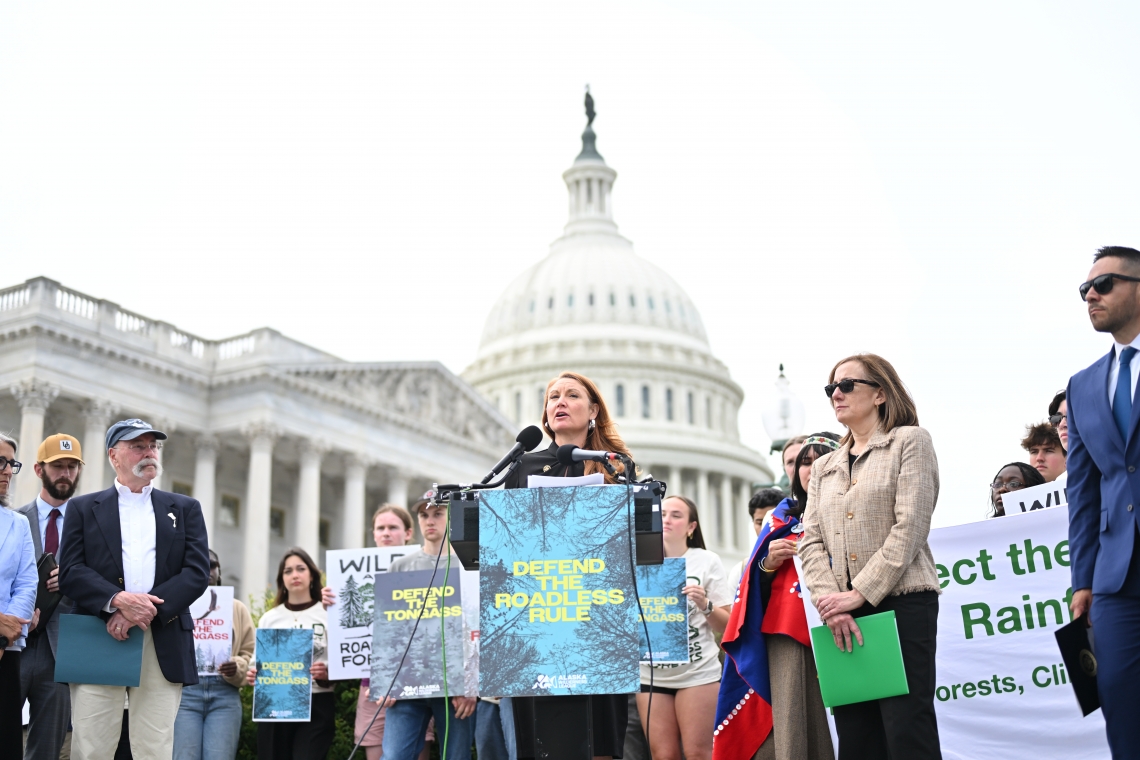 Press conference in front of the US Capitol to support the Forest Service Roadless Rule. Representative Stansbury is speaking. NABET co-chair Chris Servheen is left of her in the dark blazer and cap.