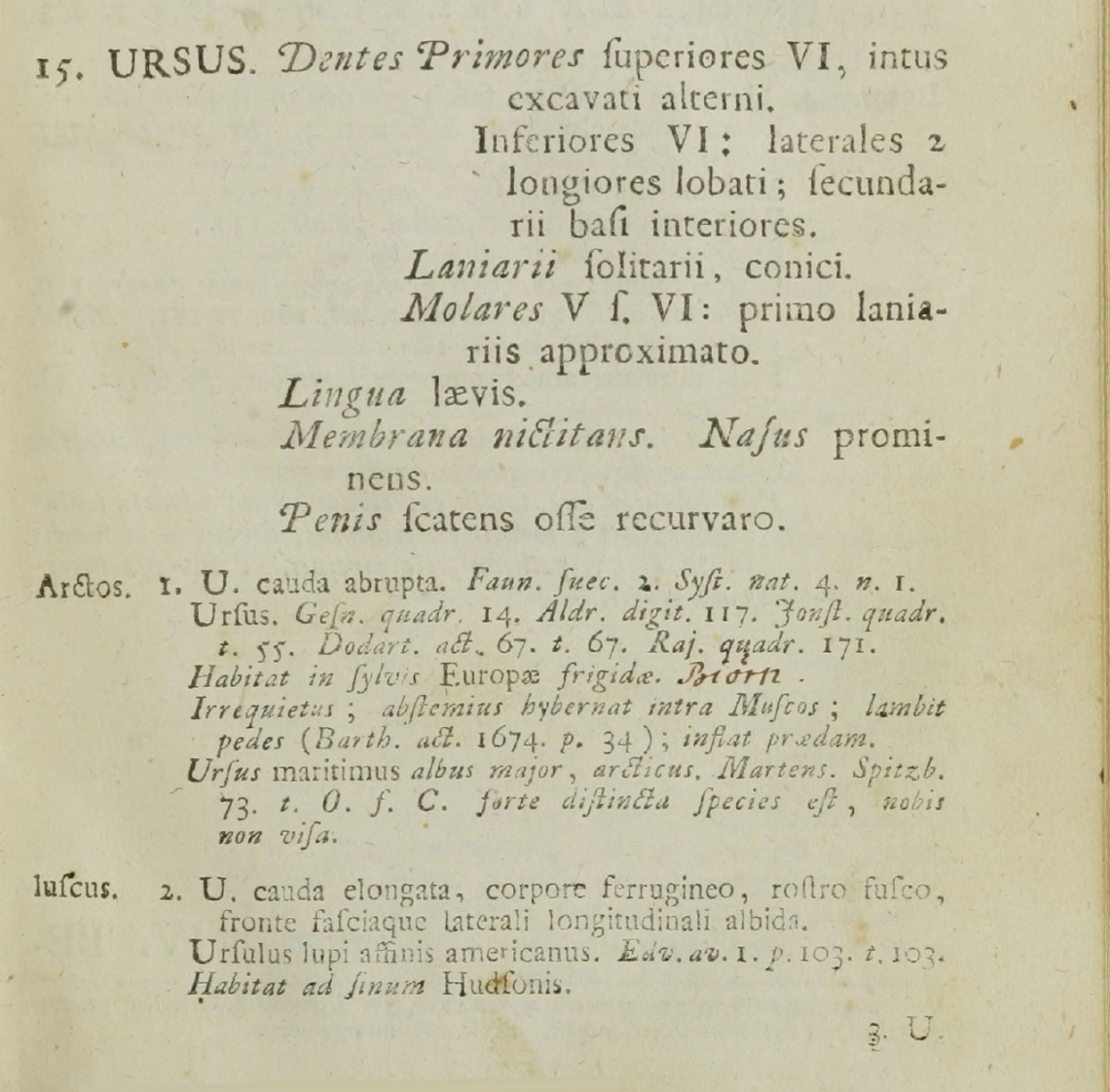 Page 47 from Linnaeus