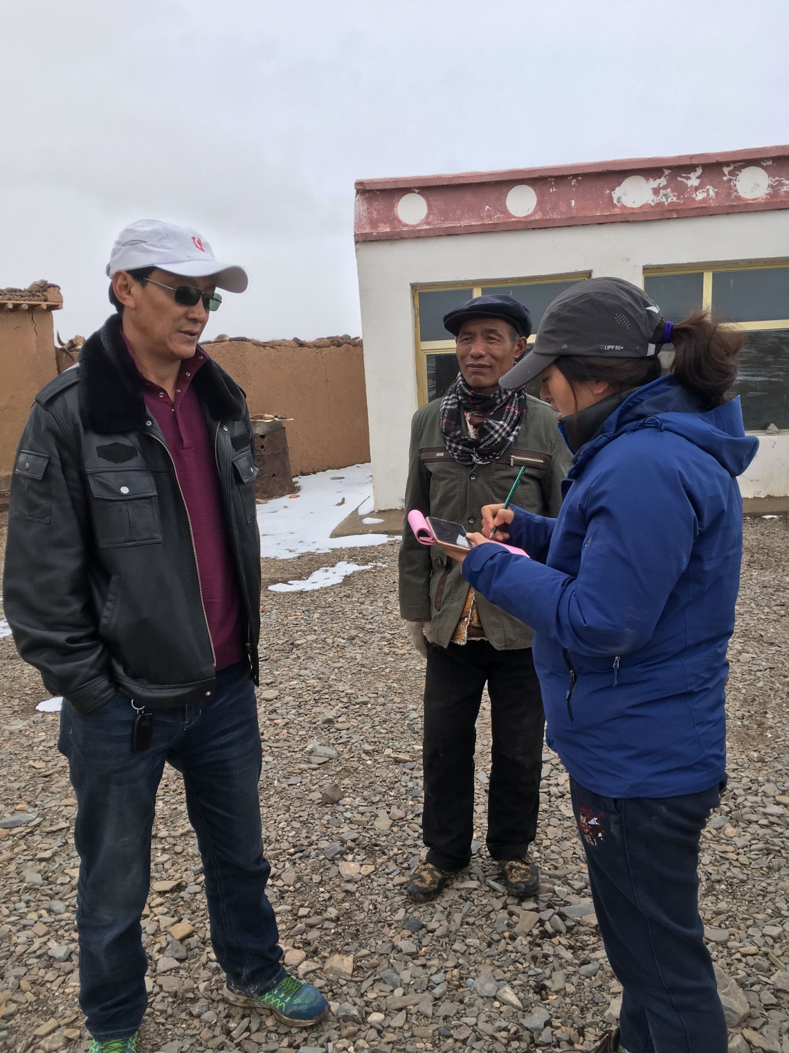 Brown bear_U arctos_Qinghai China_interview survey on human-bear conflicts_D Garshelis