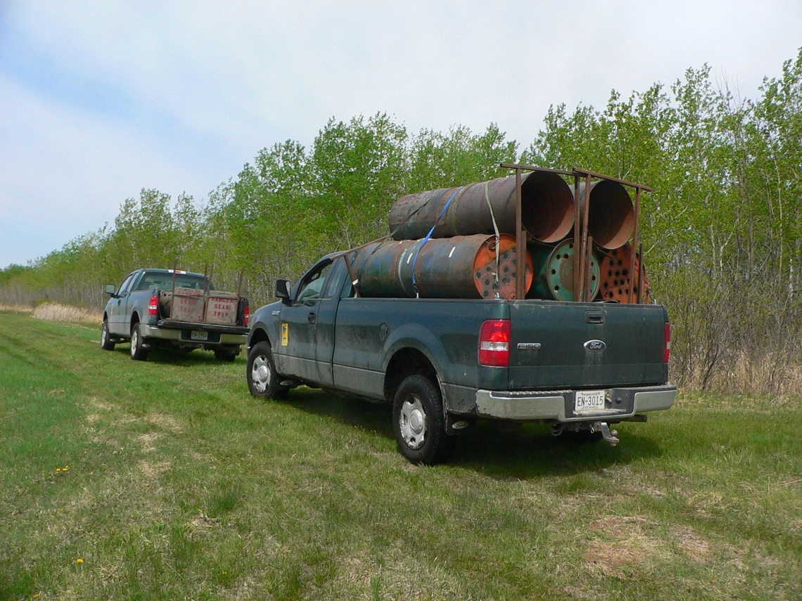 American black bear_U americanus_Minnesota_bear barrel traps used for research by Minnesota DNR_D Garshelis