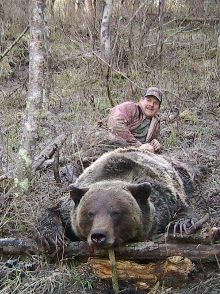 Brown bear_U arctos_British Columbia Canada_legally hunted bear_B McLellan