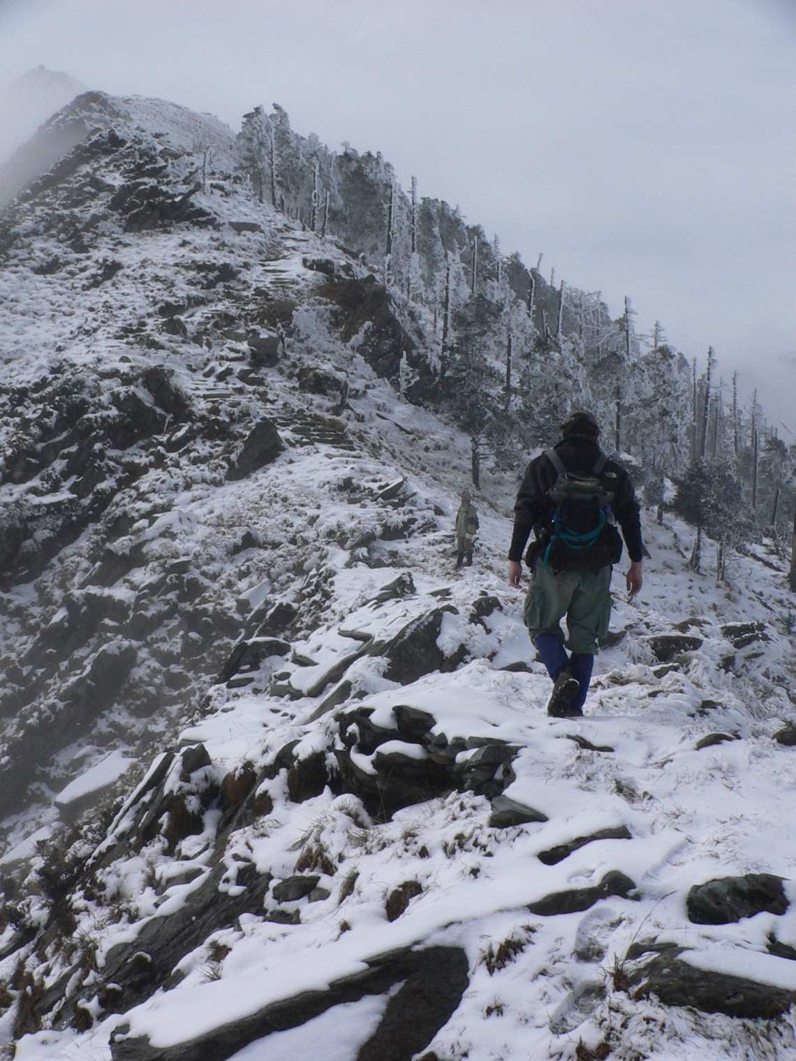 Asiatic black bear_U thibetanus_China_climbing mountain to radiotrack_D Garshelis